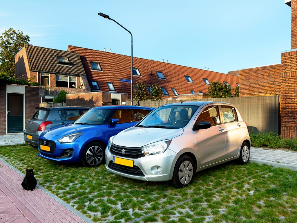 Groen en parkeren in Oosterhout met zwarte kat Park Positive