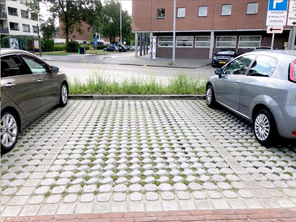 groen parkeren Groningen
