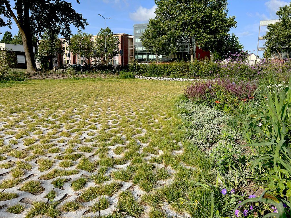 Park Positive groene parkeerplaats Flood Eindhoven