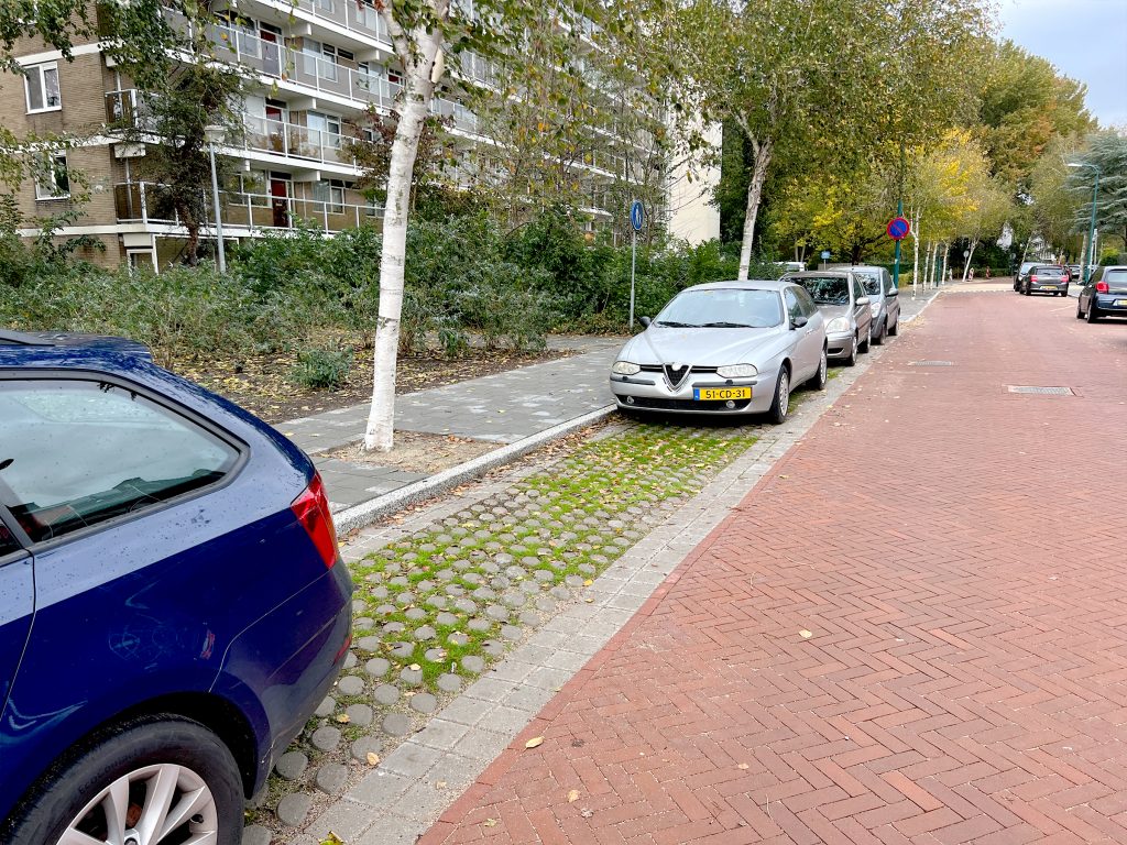 Oegstgeest groen parkeren Park Positive