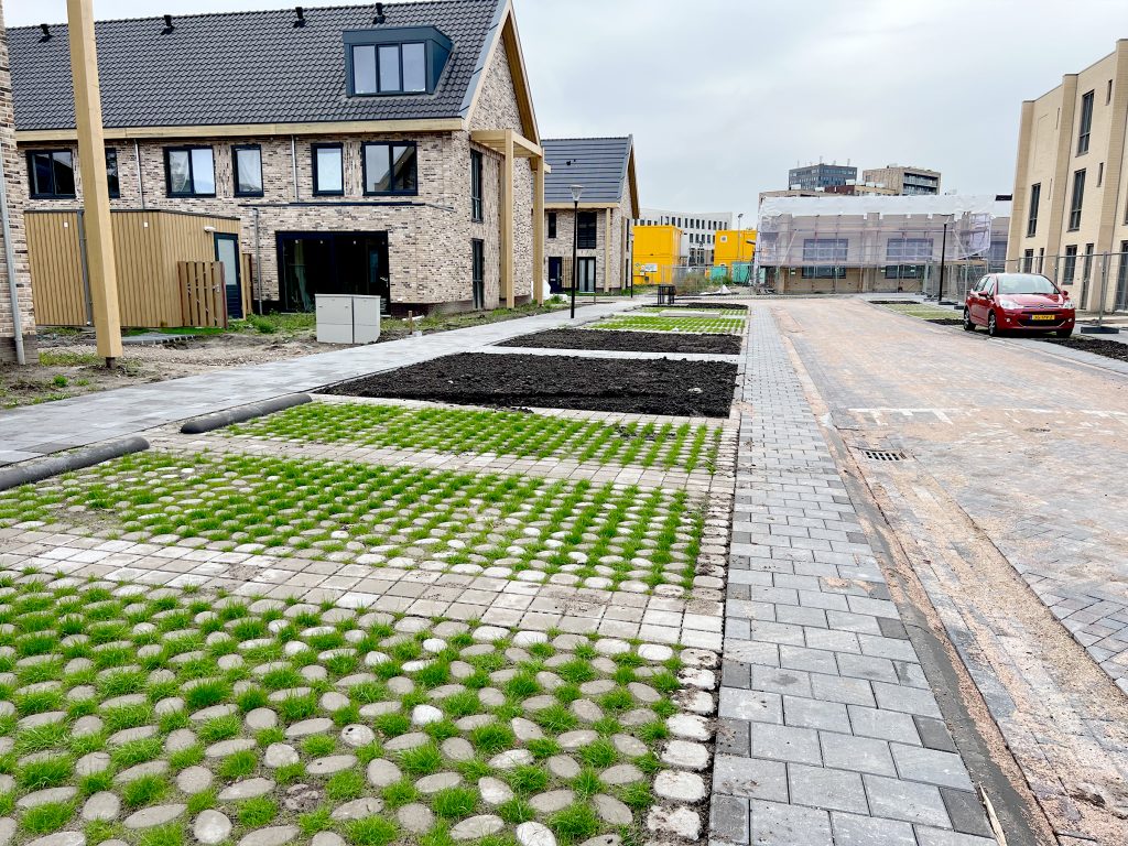 Park Positive groene parkeerplaatsen nieuwbouwwijk Vlaardingen
