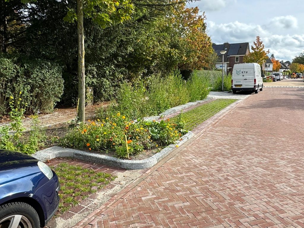 Groen parkeren in Enschede.