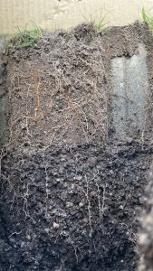 Regenwaterinfiltratie, stedelijk waterbeheer, Infiltratiecapaciteit bepalen, Infiltrerende verharding Infiltratie Groen parkeren Vergroenen Grastegels Grastegel Gras tegel Grasbetontegel Waterberging Watermanagement Gezonde bodem Leefbare stad Klimaatbestendige stad Groene parkeerplaatsen Regenwaterinfiltratie Waterbeheer