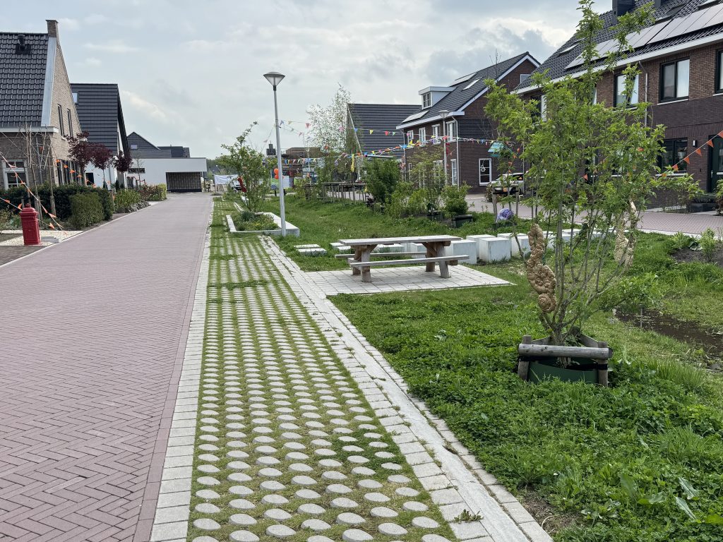 Groene parkeerplaatsen Ommen Vlierlanden