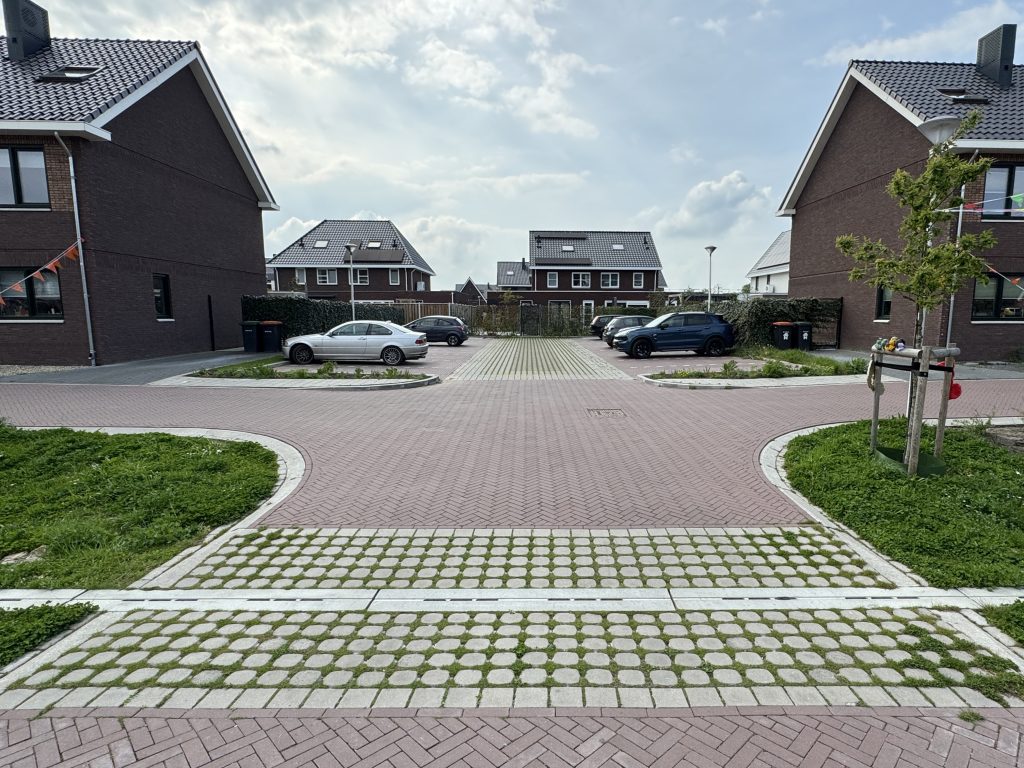 Groene parkeerplaatsen Ommen Vlierlanden