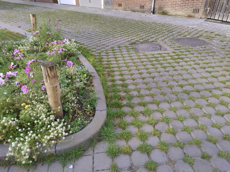 waterdoorlatende bestrating Bladel
