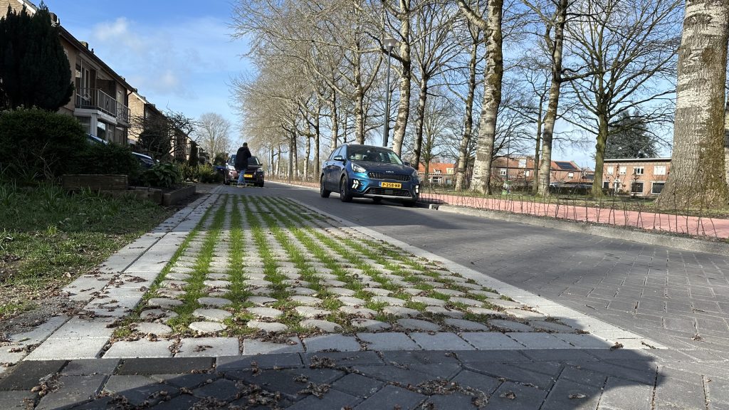 Waalwijk blode incomstelaan groen parkeren