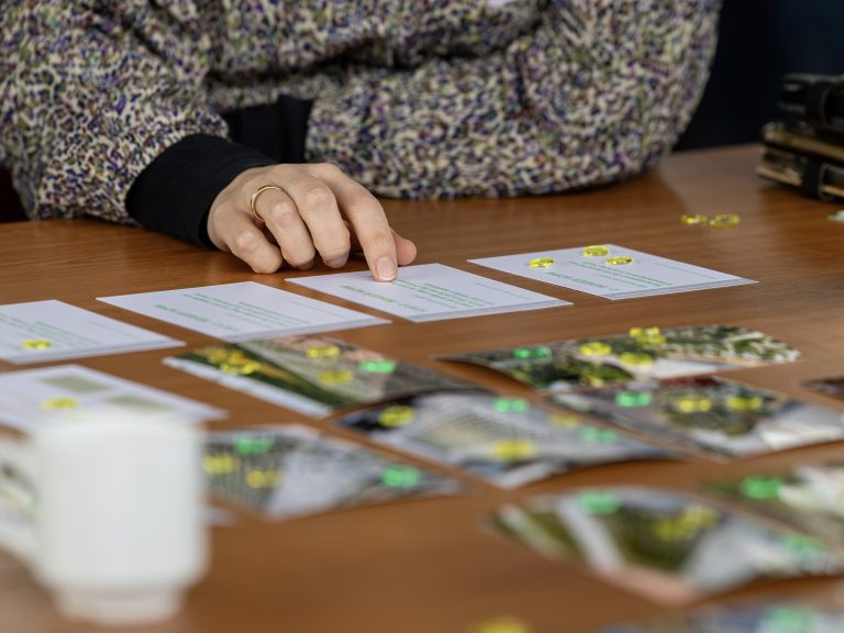 beheersspel groen parkeren