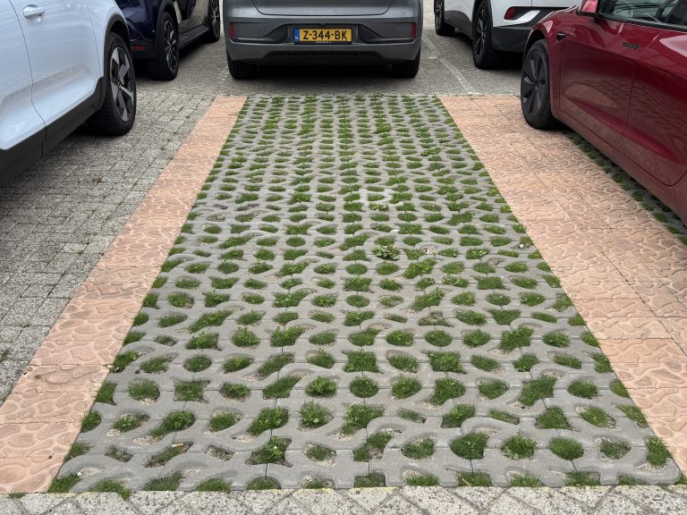 Binckhaven Den Haag Living lab groene parkeerplaatsen
