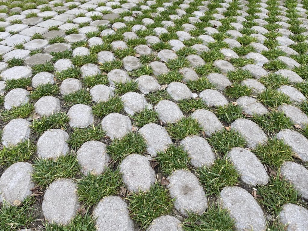 Waterstraat Park Positive Onderzoek Groen Parkeren