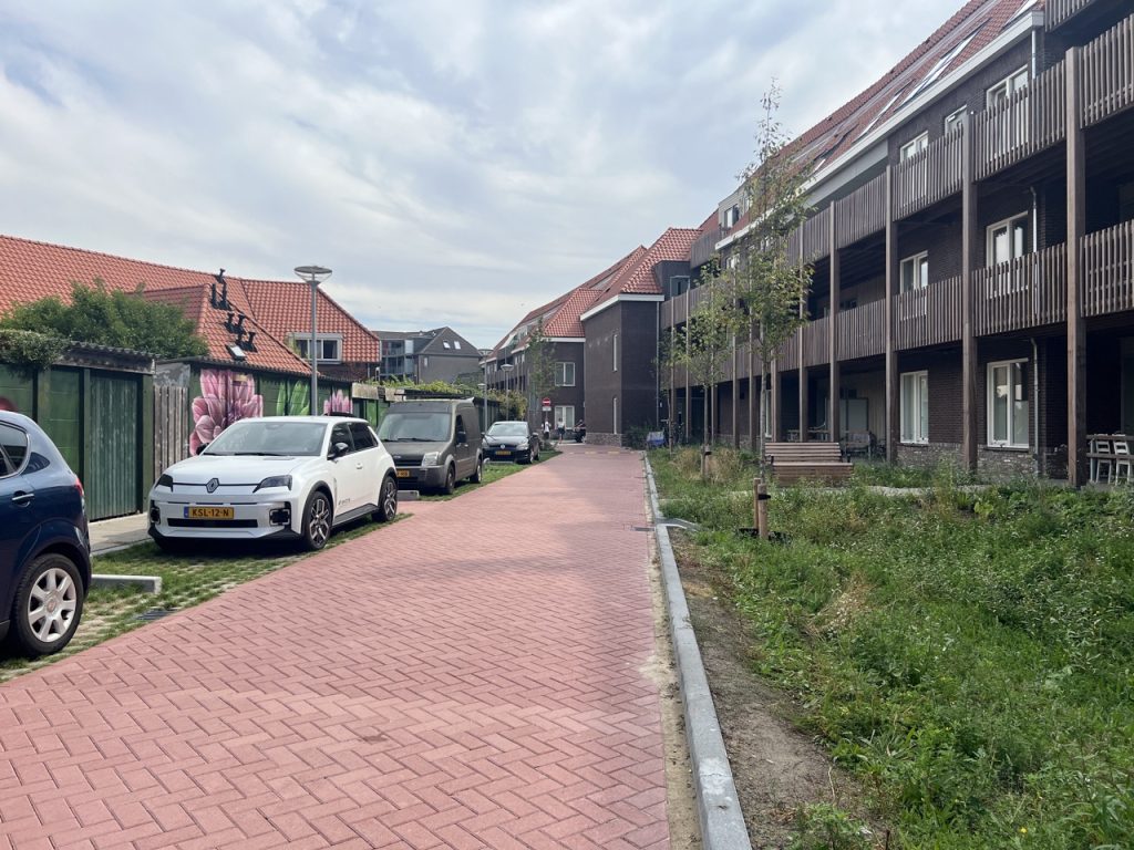Park Positive | Leostraat groen parkeren groot 2