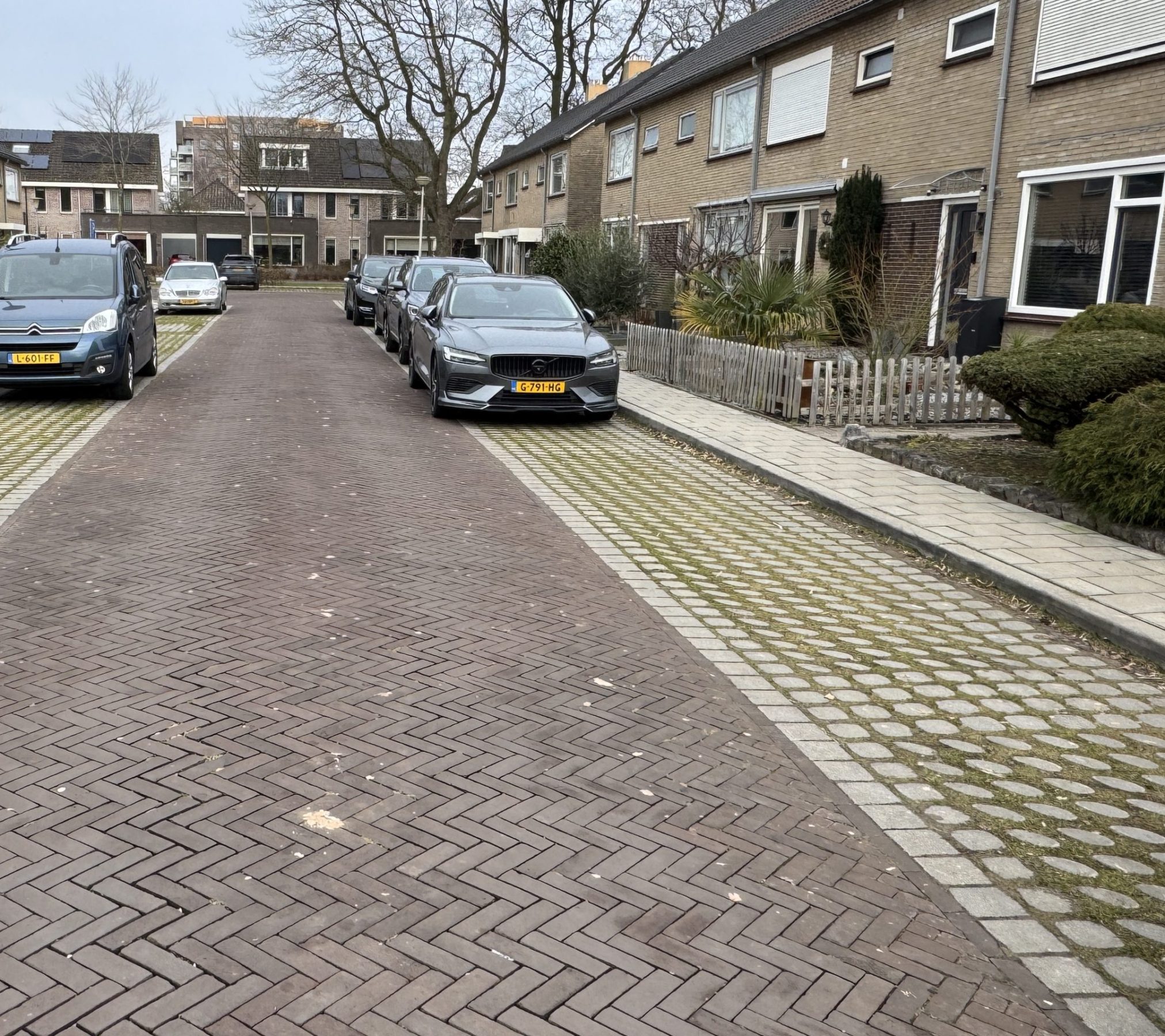 Goor winterseizoen groen parkeren
